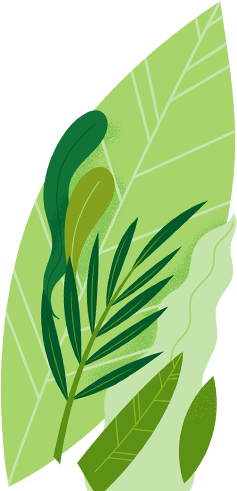 Fresh Vegetable Farm