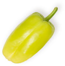 Fresh Vegetable Farm