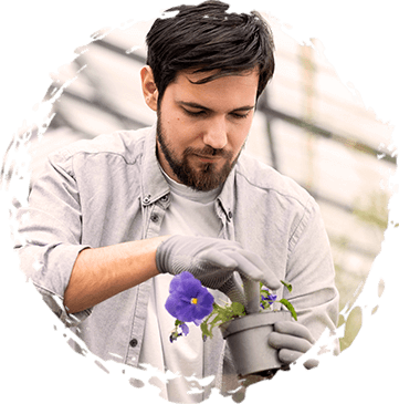 Fresh Vegetable Farm