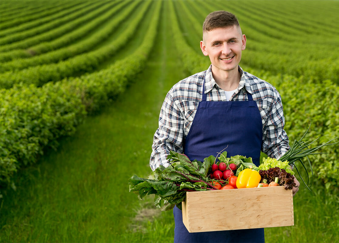Fresh Vegetable Farm
