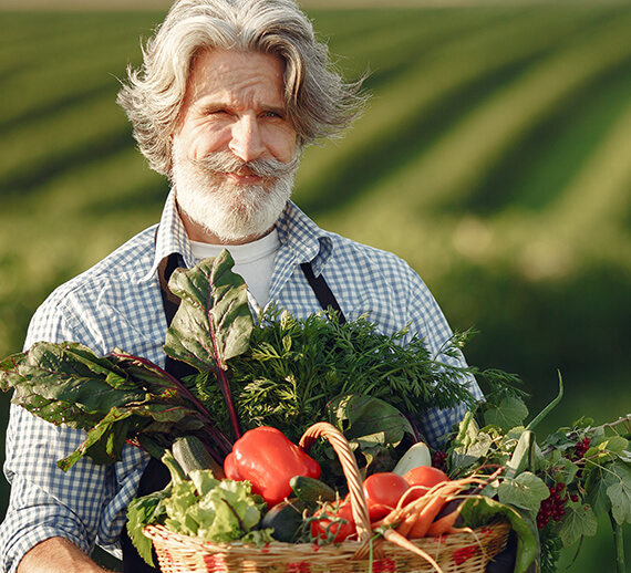 Fresh Vegetable Farm