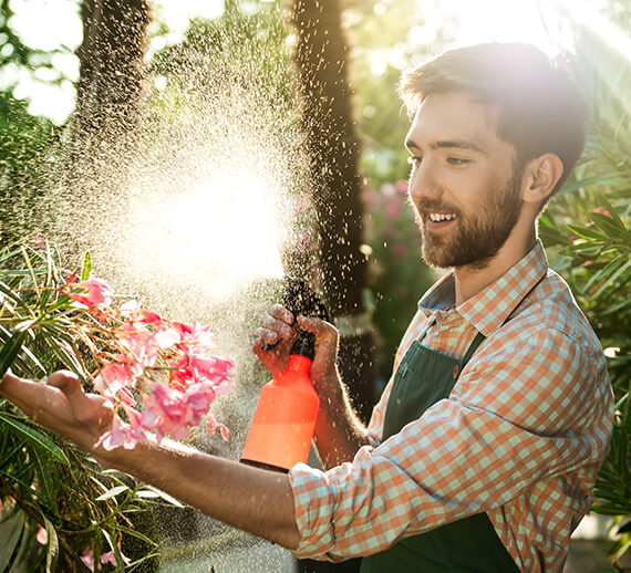 Fresh Vegetable Farm