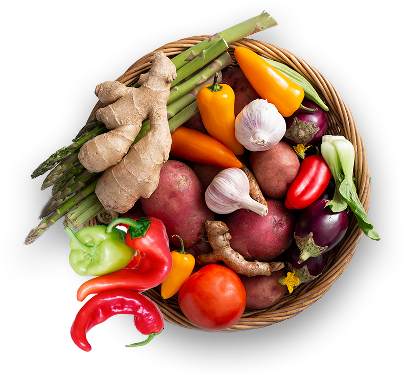 Fresh Vegetable Farm